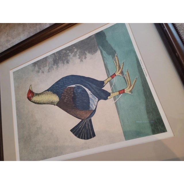 Rooster-Late 19th Century Cr Stock Lithograph - Cockerel Rooster - Set of 2 For Sale In Minneapolis - Image 6 of 7