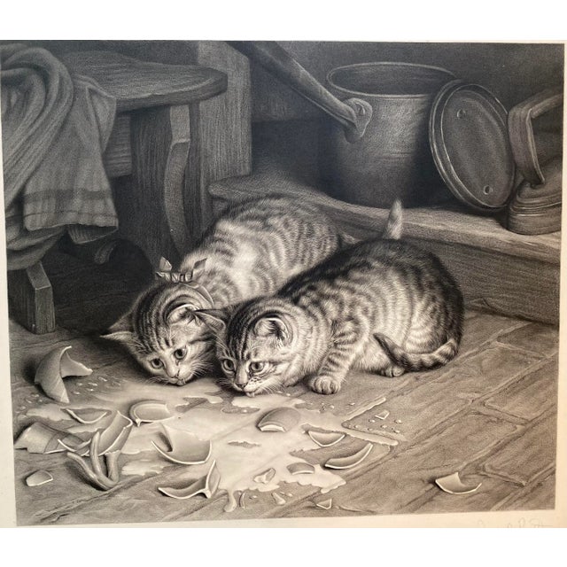 English 19th Century Original Cat Engravings by Joseph Pratt, Framed - a Pair For Sale - Image 3 of 13