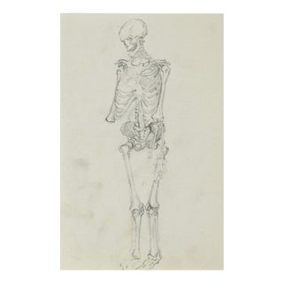 J. Pieniążek, Sketch of the Human Skeletan, 1920, Pencil For Sale