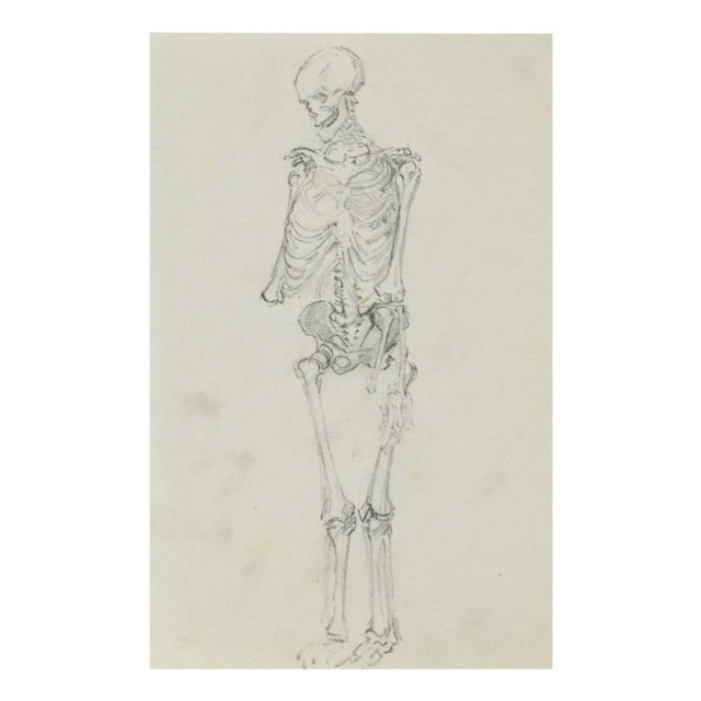 J. Pieniążek, Sketch of the Human Skeletan, 1920, Pencil For Sale