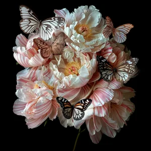 "Butterfly Garden 8" Original Botanical Still Life Photograph by Michael Filonow