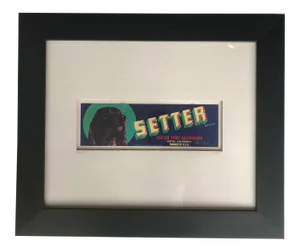 Vintage 1950s Crate Label Print for Setter Exeter Fruit Association