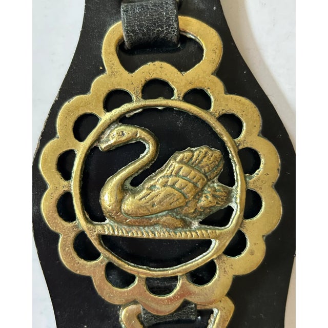 1950s English Martingale Dereham Leather Horse Strap With 5 Horse Brasses For Sale - Image 5 of 7