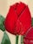 Large Majolica Tulip Ceramic Tile For Sale - Image 4 of 7