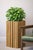 Contemporary Solid Wood Slatted Planter Box 11x11x24 For Sale - Image 3 of 8