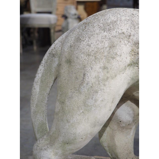 A French Medici Style Lion in Reconstituted Stone, 20th C For Sale In Dallas - Image 6 of 18