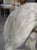 A French Medici Style Lion in Reconstituted Stone, 20th C For Sale In Dallas - Image 6 of 18