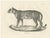 Leopard in Standing Pose, 1836, Lithograph For Sale