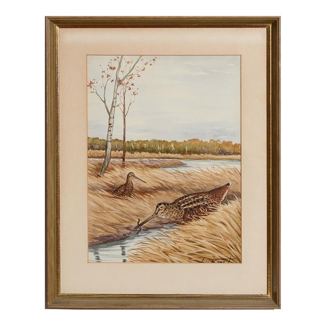 Mid 20th Century Marsh Birds Watercolour by Jean Herblet Ex- c.z. Guest Collection For Sale