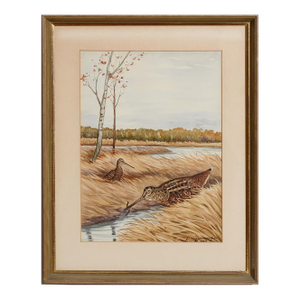 Mid 20th Century Marsh Birds Watercolour by Jean Herblet Ex- c.z. Guest Collection