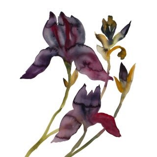 "Iris No. 203" Contemporary Original Botanical Flowers Watercolor Painting by Elizabeth Becker For Sale
