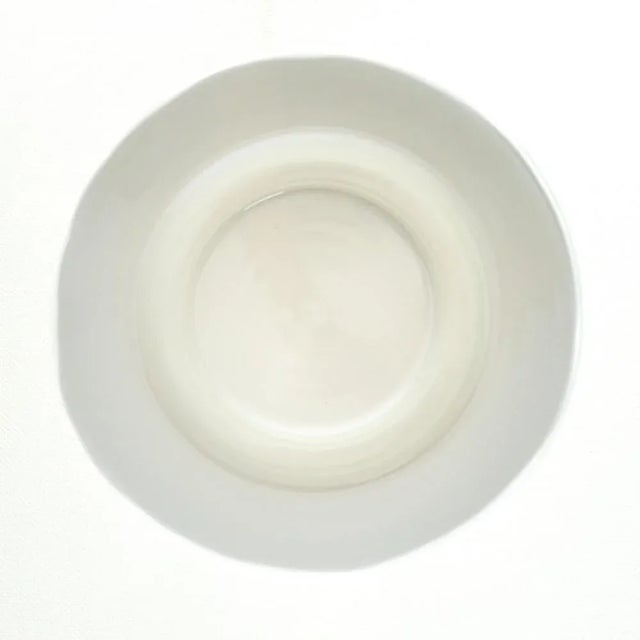 Petite Opal Glass Pendant Light by Limburg, Germany, 1960s For Sale - Image 4 of 8