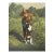 Early 20th Century Bird Hunter and Dog Colortone Photograph For Sale