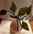 Gemstone Asian Carved Rose Quartz Decorative Hard Stone Fruit Pear Shaped For Sale - Image 7 of 10