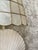 Shell Vintage Nautilus Shell Lamp - Rewired Reshaded For Sale - Image 7 of 7