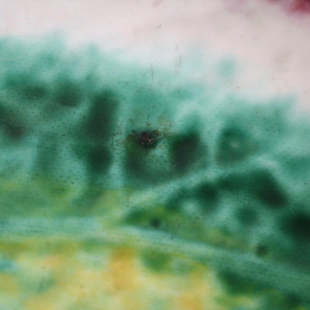 Ceramic Mid 20th Century English Traidional Japanese Majolica Begonia Leaf Plate For Sale - Image 7 of 9