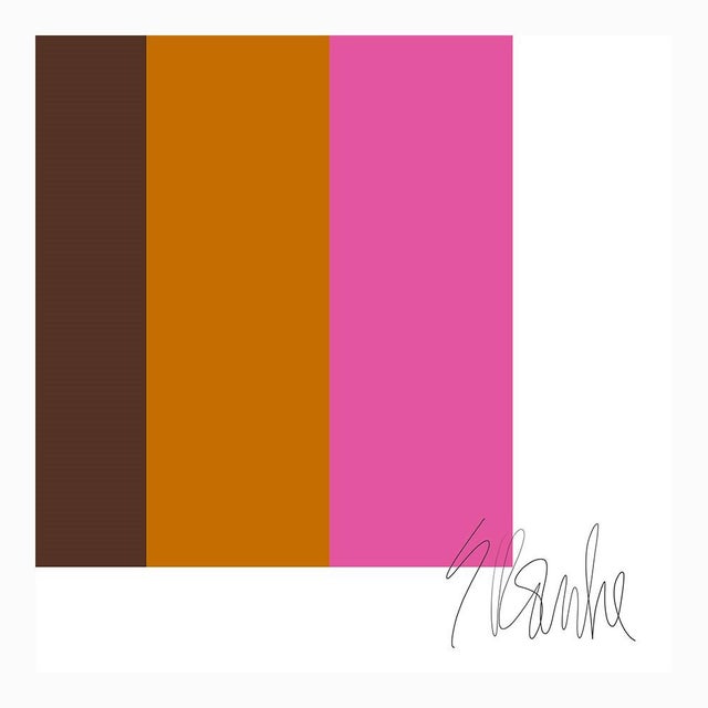 Pink Composition Fine Art Print 20" X 24" by Liz Roache For Sale In Boston - Image 6 of 6