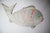 Large Fish Wall Decoration in Bamboo, 1970s For Sale - Image 9 of 17