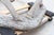 White Majestic Life-Size Cast Concrete Stag Deer Sculpture, Rustic Garden Accent For Sale - Image 8 of 8