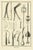 Copper Antonio Baratti, Suture Needles and Screw Instruments, Diderot Chirurgie Plate Iii, 1772, Engraving For Sale - Image 8 of 8
