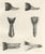 Lilian Marguerite Medland, Bills and Feet of the Wildfowl, 1909, Print For Sale - Image 9 of 9