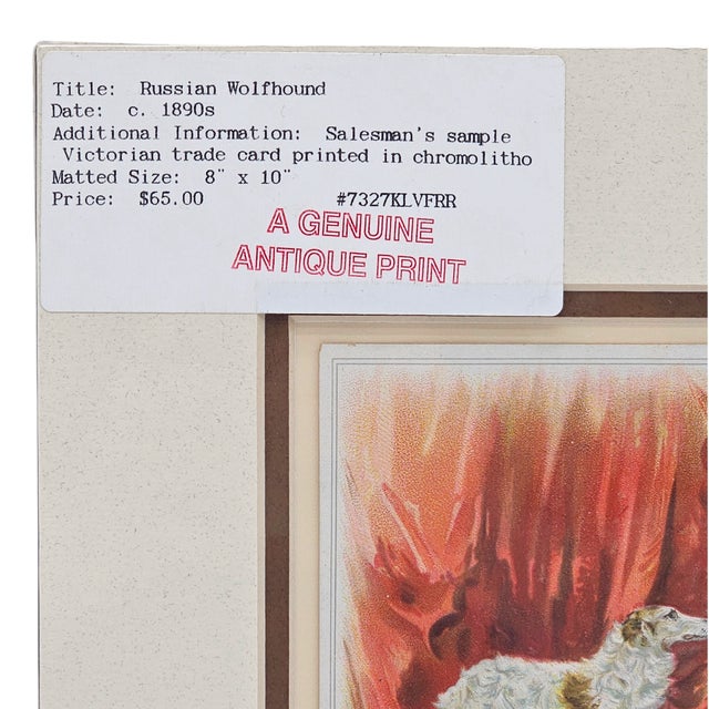 White Victorian Chromolithograph of Russian Wolfhound, c.1890s For Sale - Image 8 of 11