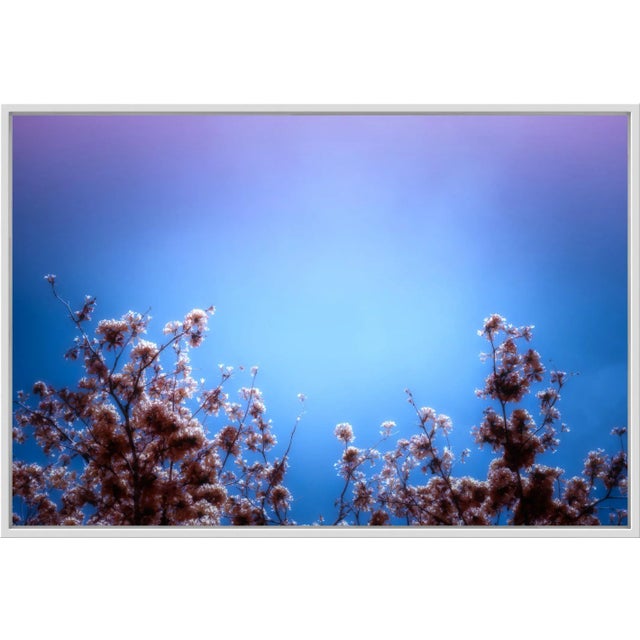 Contemporary Where Dreams Meet You, Contemporary Fine Art Photography by Kristin Hart For Sale - Image 3 of 3