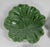 French Mid-Century Set of 6 Green Cabbage Luncheon Plates by Secla Portugal For Sale - Image 3 of 18