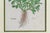 Antique Trio of Framed Double-Print Renaissance Botanical Wall Art For Sale - Image 9 of 18