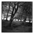Paul Cooklin, Woodland, Exmoor, Edition of 50 For Sale