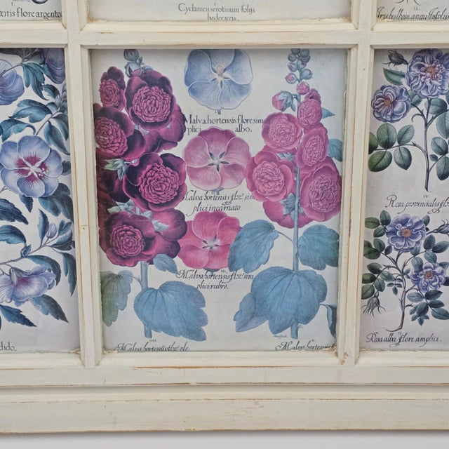 Cream Botanical Prints in Antique Window Frame For Sale - Image 8 of 18