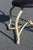 Arthur Court Antler Side Chair, Attributed For Sale - Image 14 of 18