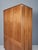 Vintage Wardrobe by Francisek Mezulanik, 1960s For Sale - Image 11 of 12