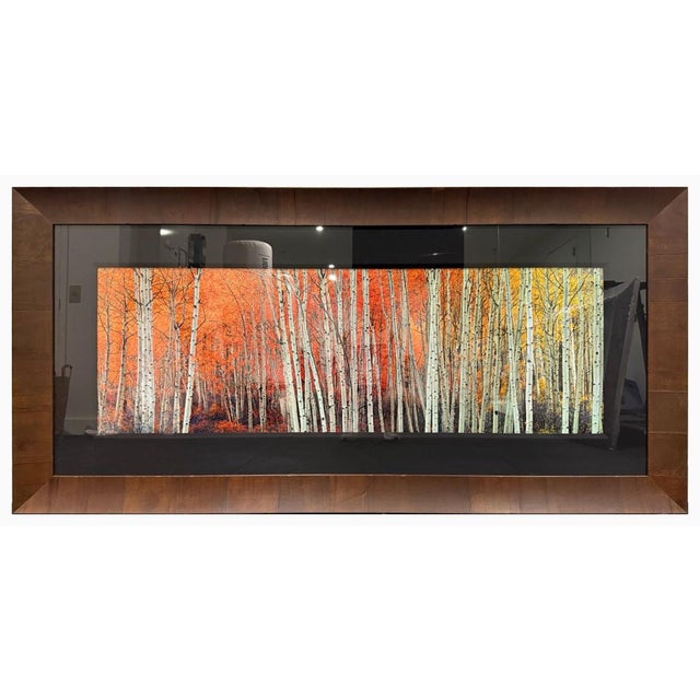 Offered for sale is Harmony, a limited-edition Artist’s Proof photograph by internationally acclaimed landscape...