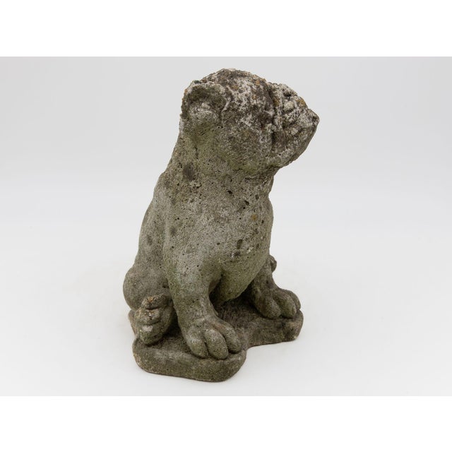 Strong and full of personality, this English 1970s era composite stone bulldog figure sits with a proud, slightly lifted...