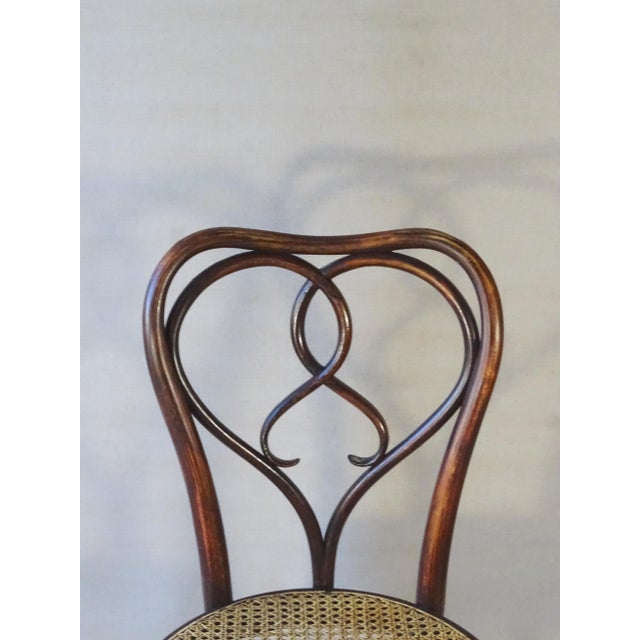No. 561 Chairs by Michael Thonet for Gebrüder Thonet, 1925, Set of 2 For Sale - Image 12 of 13