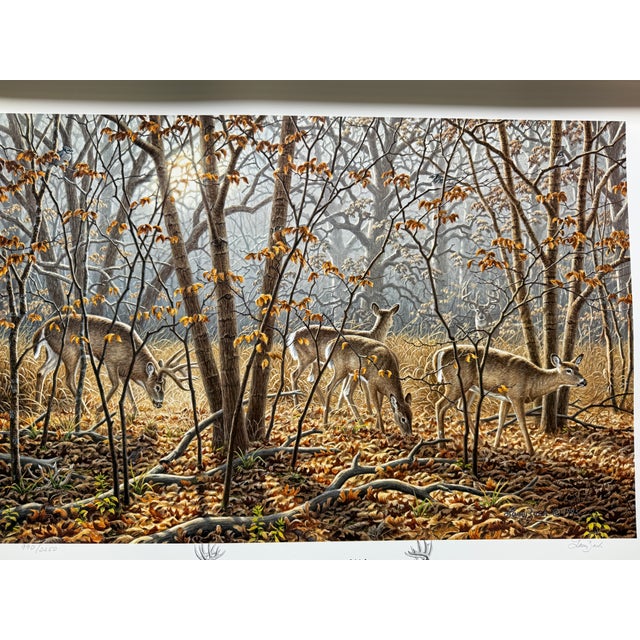 Art Deco 1990s Autumn Encounter - Whitetail Deer by Larry Zach ~ Le Signed Numbered Print For Sale - Image 3 of 8