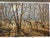 Art Deco 1990s Autumn Encounter - Whitetail Deer by Larry Zach ~ Le Signed Numbered Print For Sale - Image 3 of 8