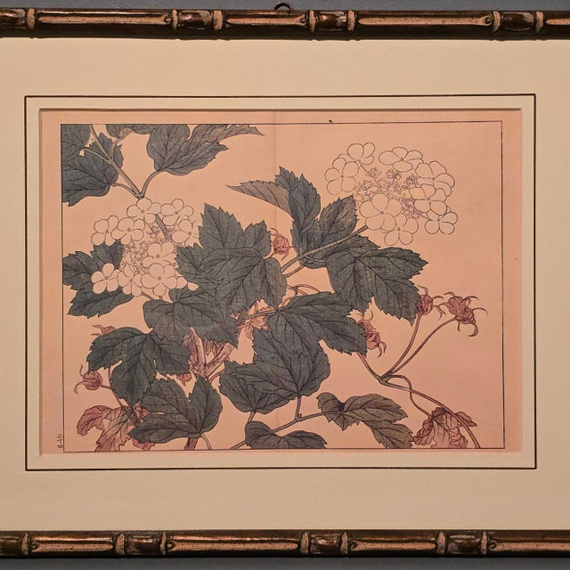 Green Suzuki Sonoichi and Nakano Sonoaki after Sakai Hoitsu, Flowers, 1950s, Prints, Framed, Set of 2 For Sale - Image 8 of 18