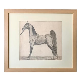 Original Vintage Drawing Portrait of a Horse by M. Laser C. 1950 For Sale