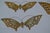 1970s Brass Butterfly Wall Decor- Set of 3 For Sale - Image 11 of 13