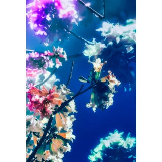 What I Dream of Fine Art Photography by Kristin Hart 50"x72" For Sale