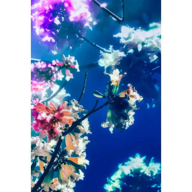 What I Dream of Fine Art Photography by Kristin Hart 50"x72" For Sale