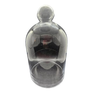 Vintage-Style Clear Glass Cloche For Sale