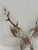 Metal Deer Head Wall Sculpture For Sale - Image 11 of 12