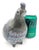 Ceramic 1970s Tonalá Mexico "El Palomar" Ceramic Quail Figurine by Ken Edwards For Sale - Image 7 of 11