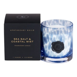 Apothecary Guild Sea Salt & Coastal Mist Poured Candle For Sale