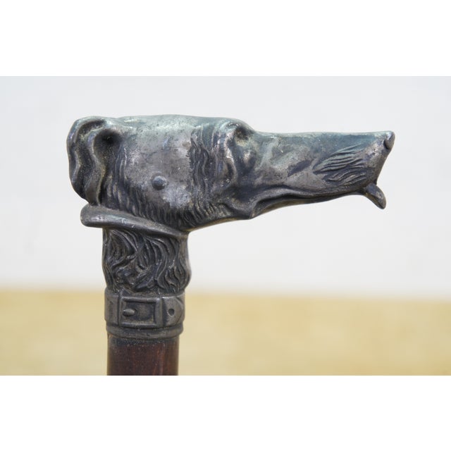Antique Silverplate Greyhound Dog Head Black Umbrella Oak Walking Stick Cane 38" For Sale - Image 6 of 18