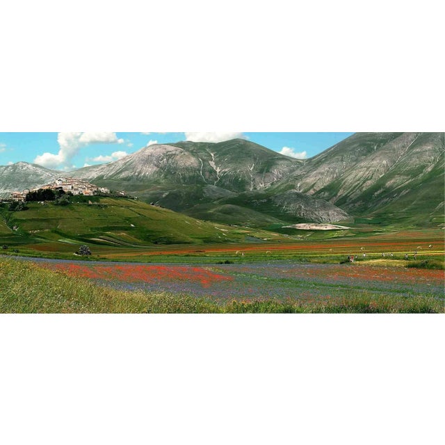 The Garden of the Shepherd Serafino is one of the best photo on canvas realized by Giuseppe Marani in 2010. Always...