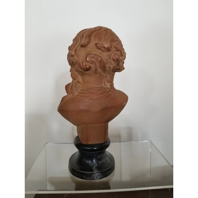 1960s 1960s Small French Style Terracotta Bust For Sale - Image 5 of 8